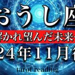 おうし座♉︎2024年11月後半  心配しすぎないで🕊️鎖が解かれ豊かさに向かい動き出す🔥　Taurus tarot  reading