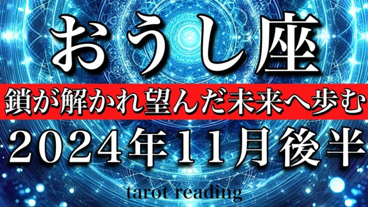 おうし座♉︎2024年11月後半  心配しすぎないで🕊️鎖が解かれ豊かさに向かい動き出す🔥　Taurus tarot  reading