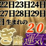 個人鑑定級【山羊座】2025年運気予報　12月22日.23.24.25.26.27.28.29.30.31日生まれ日さん　【タロットとオラクルカードリーディング】