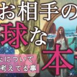 【あの人の本音大公開❤️】忖度なしでズバリ当てます‼️選択肢◯さんのお相手様が抱く本気の想いに…😍✨個人鑑定級深掘りリーディング［ルノルマン/タロット/オラクルカード］