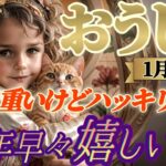 2025年【牡牛座♉1月前半運勢】新年早々嬉しい事　やっぱりこれだけはお伝えしなきゃ！！…重いメッセージだけどハッキリ言うね　✡️キャラ別鑑定付き✡️