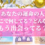 幸せすぎ注意🥺💕【恋愛❤️】あなたの運命の人❣️今どこで何してる？どんな人？もう出会ってる？【タロット🔮オラクルカード】片思い・出会い・復縁・未来・恋の行方・恋人・彼氏彼女・片想い・カードリーディング