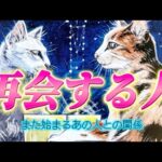 【衝撃？やっぱり？】近々再会✨また繋がり、関係が始まるのは誰？あの人の気持ち💗あなたの気持ち💛2人のご縁とは、、、。復縁　個人鑑定級　透視タロット占い