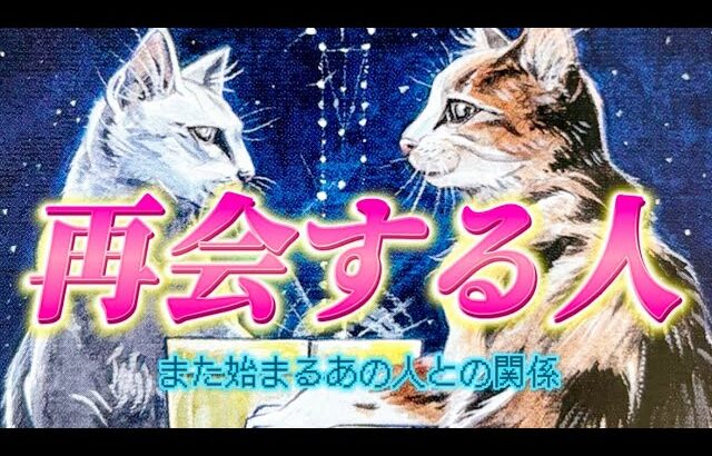 【衝撃？やっぱり？】近々再会✨また繋がり、関係が始まるのは誰？あの人の気持ち💗あなたの気持ち💛2人のご縁とは、、、。復縁　個人鑑定級　透視タロット占い