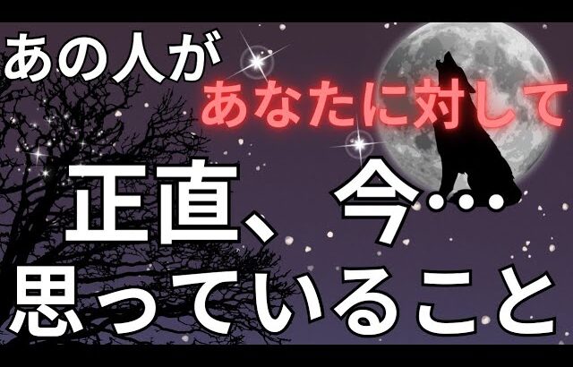 ガチ🔥あの人があなたに対して正直おもっていること。恋愛タロット占い ルノルマン オラクルカード 個人鑑定級に深掘りリーディング