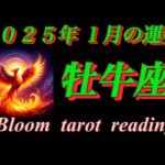 牡牛座♉️  【2025年1月の運勢】  カリスマ性発揮🌈本当に大切なものだけが残る✨✨