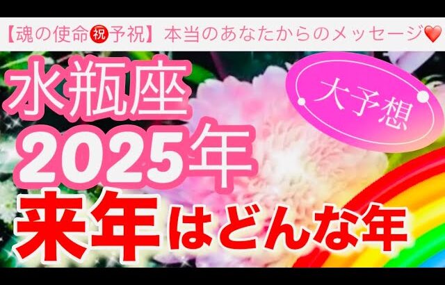 水瓶座🪐【2025年予祝㊗️】驚愕🤗鳥肌級の神展開⚡️連発🎇今迄の人生の努力や苦労や経験が報われて覚醒し波に乗る年到来🎊先読み深掘りリーディング#2025年#潜在意識#水瓶座