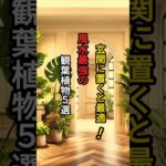 玄関に置くと最適！風水最強の観葉植物５選 #shorts #金運 #開運 #スピリチュアル #運気
