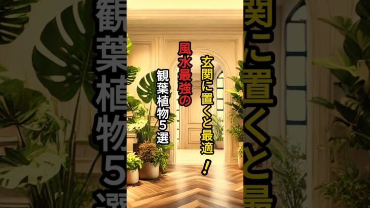 玄関に置くと最適！風水最強の観葉植物５選 #shorts #金運 #開運 #スピリチュアル #運気