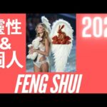 2025 動物徵兆預測：兔子 [風水天使]