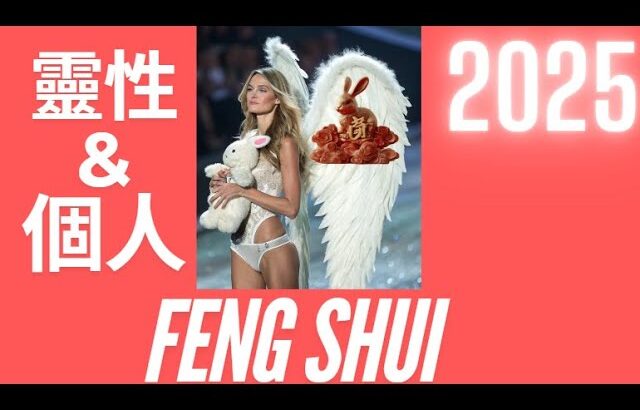 2025 動物徵兆預測：兔子 [風水天使]