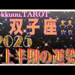 双子座♊️さん【2025年上半期1月〜6月の運勢・仕事運・対人運】2025年テーマ仏様「吉祥天」🙏#2025 #タロット占い #星座別