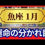 【魚座♓1月運勢】うわっすごい！個人鑑定級のグランタブローリーディング✨運命の分かれ目　さあ魂の求める本来の道へ　あなたはこんなもんじゃない（仕事運　金運）タロット＆オラクル＆ルノルマンカード