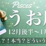 うお座♓️2024年12月後半〜2025年1月前半🌝何これ？！全方位からの強すぎる応援！すごいリーディングをしてしまった…