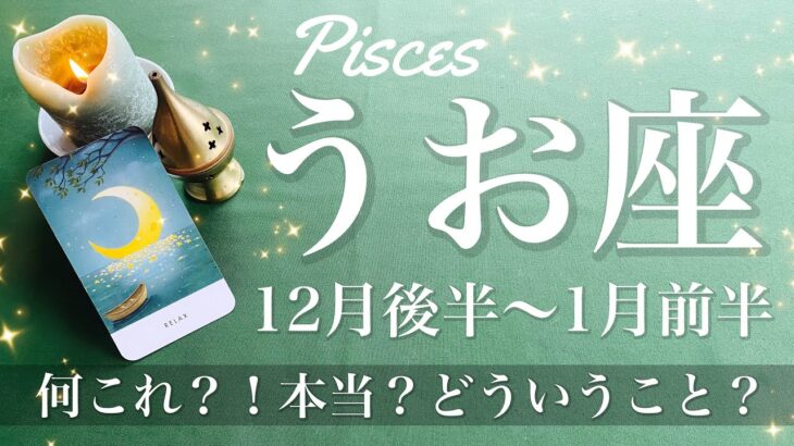 うお座♓️2024年12月後半〜2025年1月前半🌝何これ？！全方位からの強すぎる応援！すごいリーディングをしてしまった…