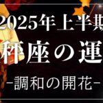 【2025年の運勢】上半期💫天秤座のあなたに起こること💫怖いほど当たる😳🤍【恋愛/仕事/人間関係/金運/健康運/結婚】タロット占い&オラクルカードリーディング🔮