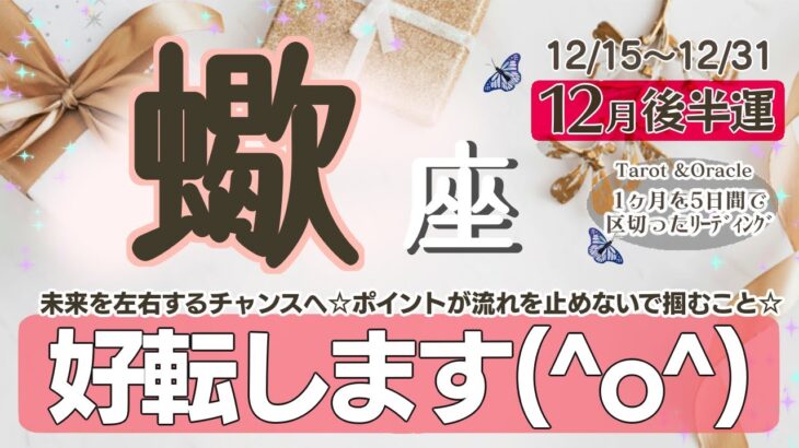 良い運気⭐︎好転☆情熱のままに進み続けましょう♡未来で楽しい嬉しい事がたくさん待っている☆ポイントが良い流れをこれまでの事を優先して諦めてしまわないこと【蠍座♏️】2024年12月後半運勢