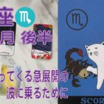 【蠍座】♏️⭐️12月後半⭐️その不安や恐れの本当の正体は何かな？もうすぐやってくる急展開に乗るために、自身の殻を破ってみよう！＃蠍座　 ＃推し活 ＃タロット