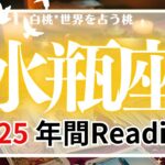 水瓶座♒2025年間Reading★求めていた新しい場所に恵まれる