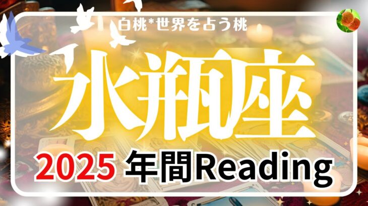 水瓶座♒2025年間Reading★求めていた新しい場所に恵まれる