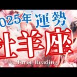 2025年牡羊座の運勢‼️タロット占い🌟牡羊座さんの2025年は❓‼️ワクワク🌟