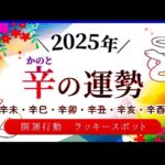 四柱推命の日干支で占う【2025年の運勢】+ .