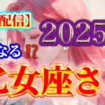 【乙女座♍️】２０２５年❗️どうなる⁉️✨【ルノルマンカードリーディング占い】恐ろしいほど当たる😱