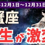 【蟹座】12月のかに座の運勢で人生を前向きに！