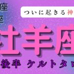 【ついに起きる神展開✨】牡羊座　12月後半ケルトタロット占い　#タロットカード#タロット#12月運勢 #占い#当たるタロット #タロット占い#運勢