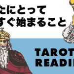 もうすぐ始まることをヘキサグラムスプレッドで観てみたら、とある選択肢で神回が巻き起りびっくり仰天しました😎🪺【タロット占い・オラクルカード占い】見た時がタイミング🦸‍♀️✨