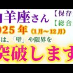 【山羊座の総合運】2025年（1月～12月）のやぎ座の総合運。星とタロットで読み解く未来 #山羊座 #やぎ座