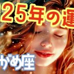 🌹🕊️2025年の運勢🐍💫【水瓶座】🎊㊗️#水瓶座