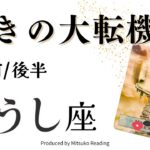 牡牛座1月【大 ・転・機】です❗️想定外のうれしい未来が待ってる❗️前半後半仕事恋愛人間関係♉️【脱力系タロット占い】