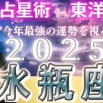 【2025年の運勢・水瓶座（みずがめ座）】西洋占星術×東洋占…水森太陽が全体運・仕事運＆金運・恋愛運を占います【開運アドバイス＆ラッキーカラー付き】星座×干支