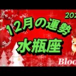 ♒️水瓶座  【2024年12月の運勢】  大アルカナ祭り😍最強すぎる🌈絶好調の波来てます✨✨