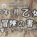 【2025年1月♍︎乙女座】冒険の書📚星占いとタロットカードでリーディング🃏熱い1カ月⁈