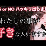 ガチです⚠️YES or NO ハッキリ。今私の事が好きな人はいますか？まさかの結果に💥個人鑑定級に当たる！恋愛タロット占い ルノルマン オラクルカード細密リーディング