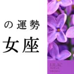 【乙女座1月】運命が動きだす！！やっと、これまでの頑張りが報われていくよ🥹✨2025年タロット占い