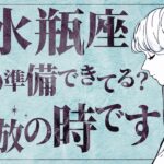 私の大好きなカードでました💖【水瓶座】12月末に願いが叶う理由とは…！？【運勢タロット占い】