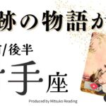 射手座1月【奇跡の物語】止められない旅のはじまり❗️理想はすべて現実になる❗️前半後半仕事恋愛人間関係♐️【脱力系タロット占い】