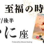 蟹座1月は【至福の時間】努力が報われるヤッター❗️うれしい時間がやって来る❗️前半後半仕事恋愛人間関係♋️【脱力系タロット占い】