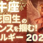 牡牛座♉️第2弾🌠2025年あなたの起死回生のチャンスをサポートするエネルギー！サクッとタロット