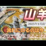 【2025.1月前半🍀】山羊座さんの運勢🌈流れにのるのは今✨ビッグウェーブにのると決める！！！