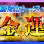 【12月🍀】うお座さんの年末までの金運について視てみました😳🌈