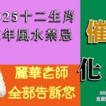 #2025十二生肖流年風水禁忌 #2025流年風水化煞和催旺大法 #2025流年九宮飛星好方位 #2025玄空飛星 #2025流年風水佈局 #2025招財風水 #2025乙巳年居家和辦公室風水佈局