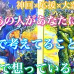 💕神回×応援×大恋愛📣❄️今、あの人があなたに対して頭で考えてること心で想うこと🦋