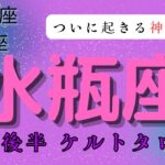 【ついに起きる神展開✨】水瓶座　12月後半ケルトタロット占い　#タロットカード#タロット#12月運勢 #占い#当たるタロット #タロット占い#運勢