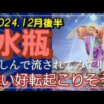 【12月後半🍀】水瓶座さんの運勢🌈楽しんで流されてみてみて‼凄い好転起こりそう✨✨幸せの安定感が凄すぎます😳