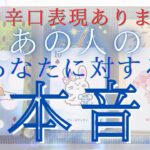 【 辛口表現あります 】あの人のあなたに対する本音 【 恋愛・気持ち・タロット・オラクル・占い 】