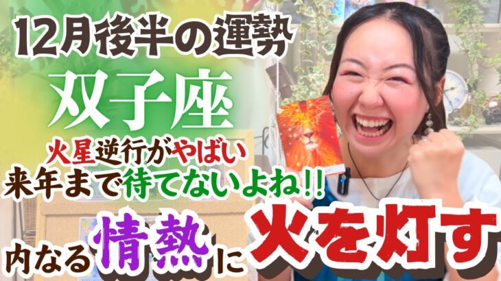 【双子座12月後半の運勢】明日やろうはバカヤローかもしれないぞ…！！